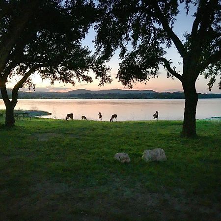 Medina Lake Camping Resort Cabin 3 Lakehills Εξωτερικό φωτογραφία