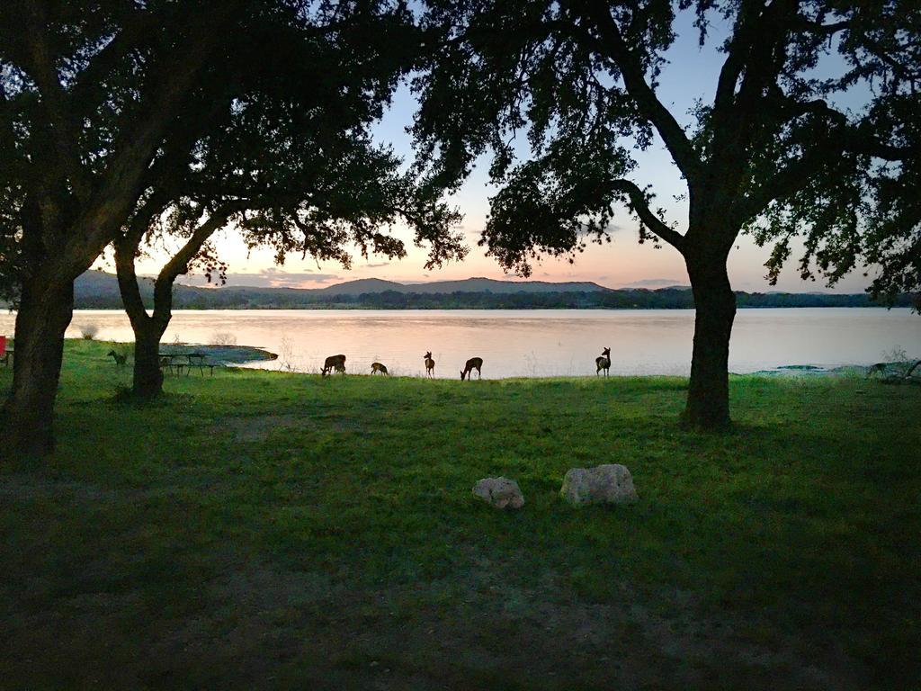 Medina Lake Camping Resort Cabin 3 Lakehills Εξωτερικό φωτογραφία